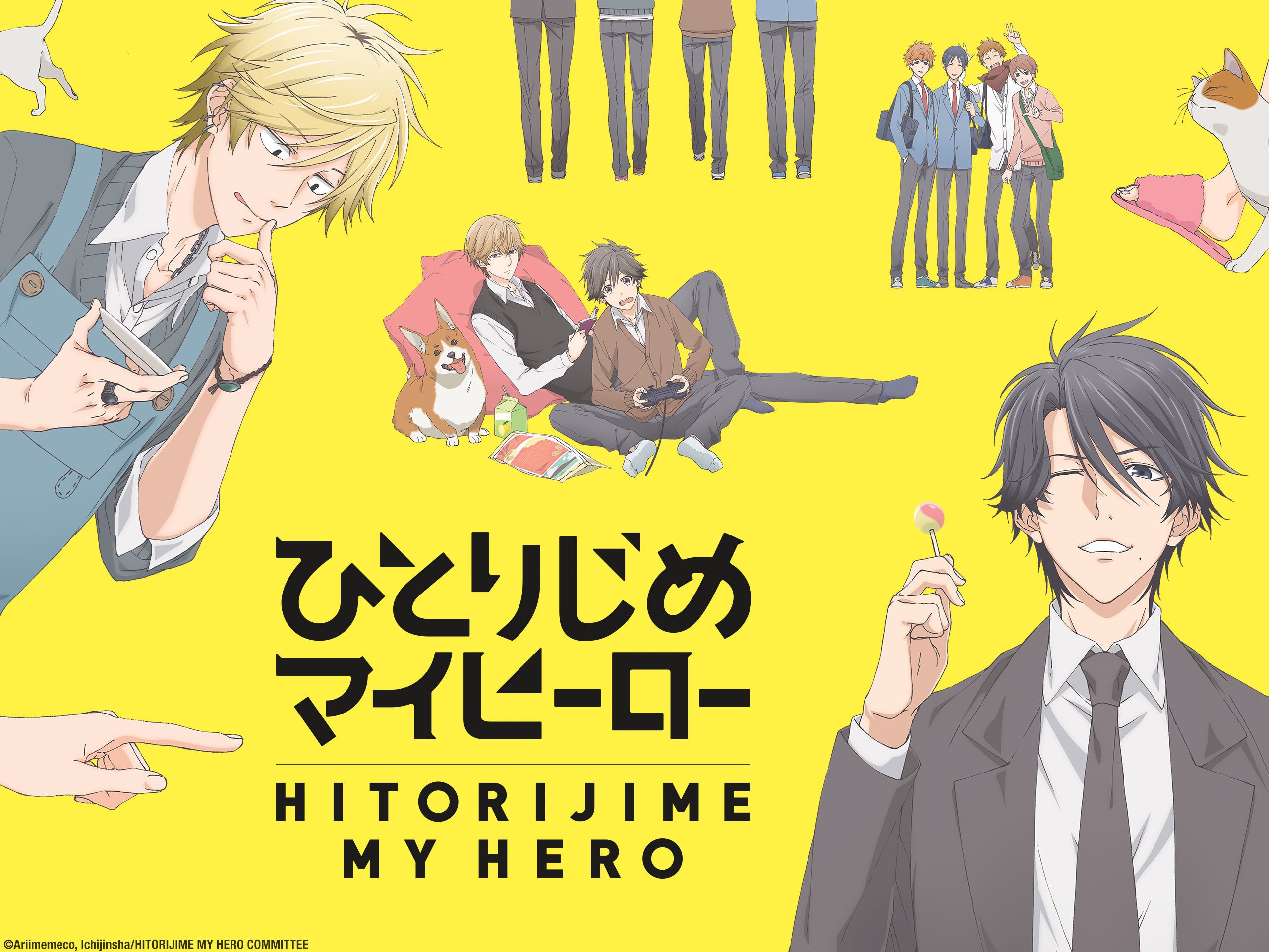 Hitorijime my hero season 2 canceled or renewed everything the fans