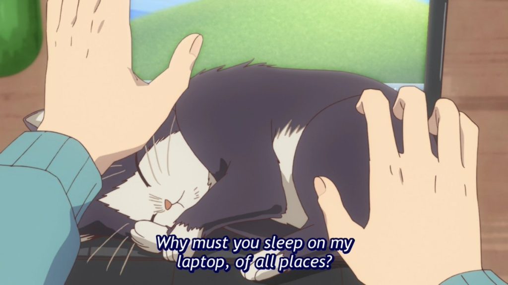 My Roommate Is A Cat Season 2