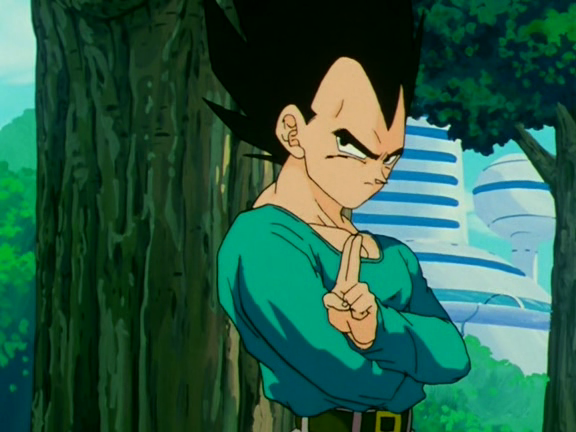 Vegeta Fashion