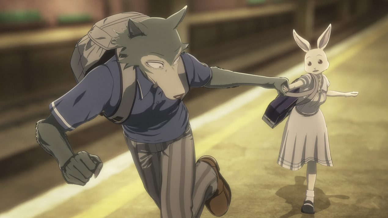 Beastars Season 3: Not Happening? Is There Enough Source Material?