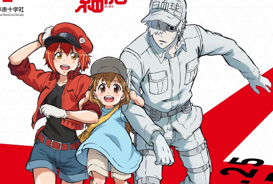 Season 2 release date confirmed, Hataraku Saibou / Cells at Work!