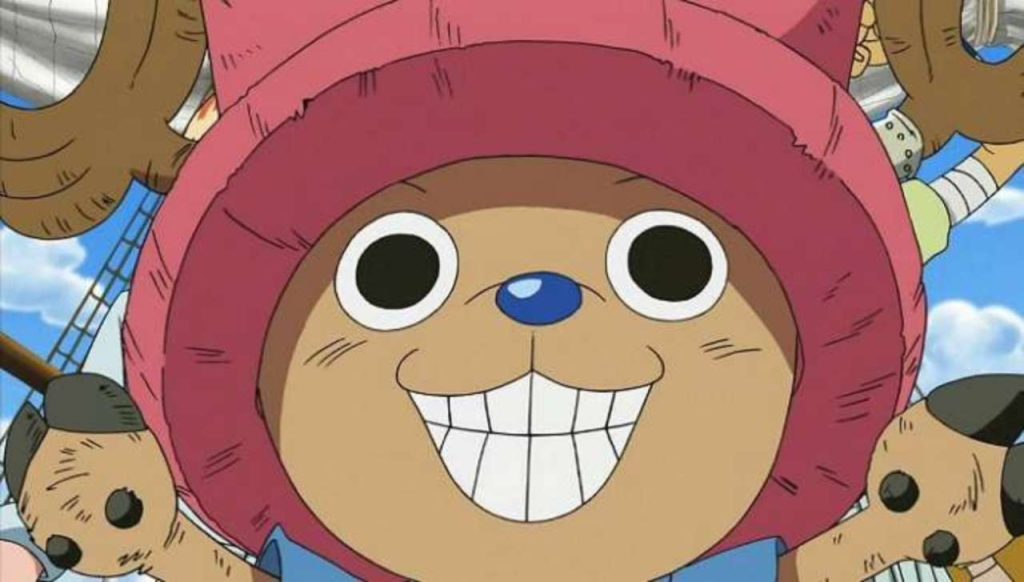 One Piece Straw Hat Pirates