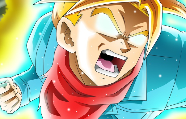 Vegeta Transformations