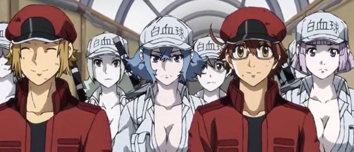 13 Top Anime Like Naruto