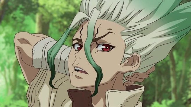 Dr. Stone