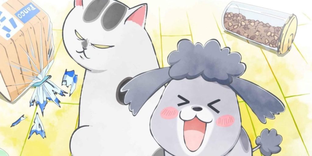 With a Dog AND a Cat, Every Day is Fun Season 2