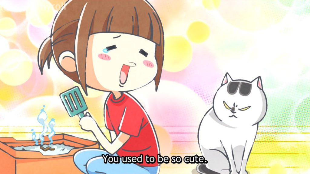 With a Dog AND a Cat, Every Day is Fun Season 2