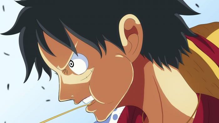 One Piece Chapter 1025