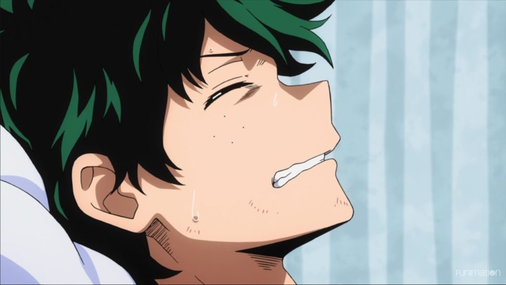 Everything You Need To Know About Deku's Dad Hisashi Midoriya!