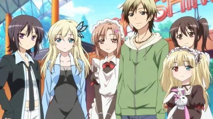 best harem anime