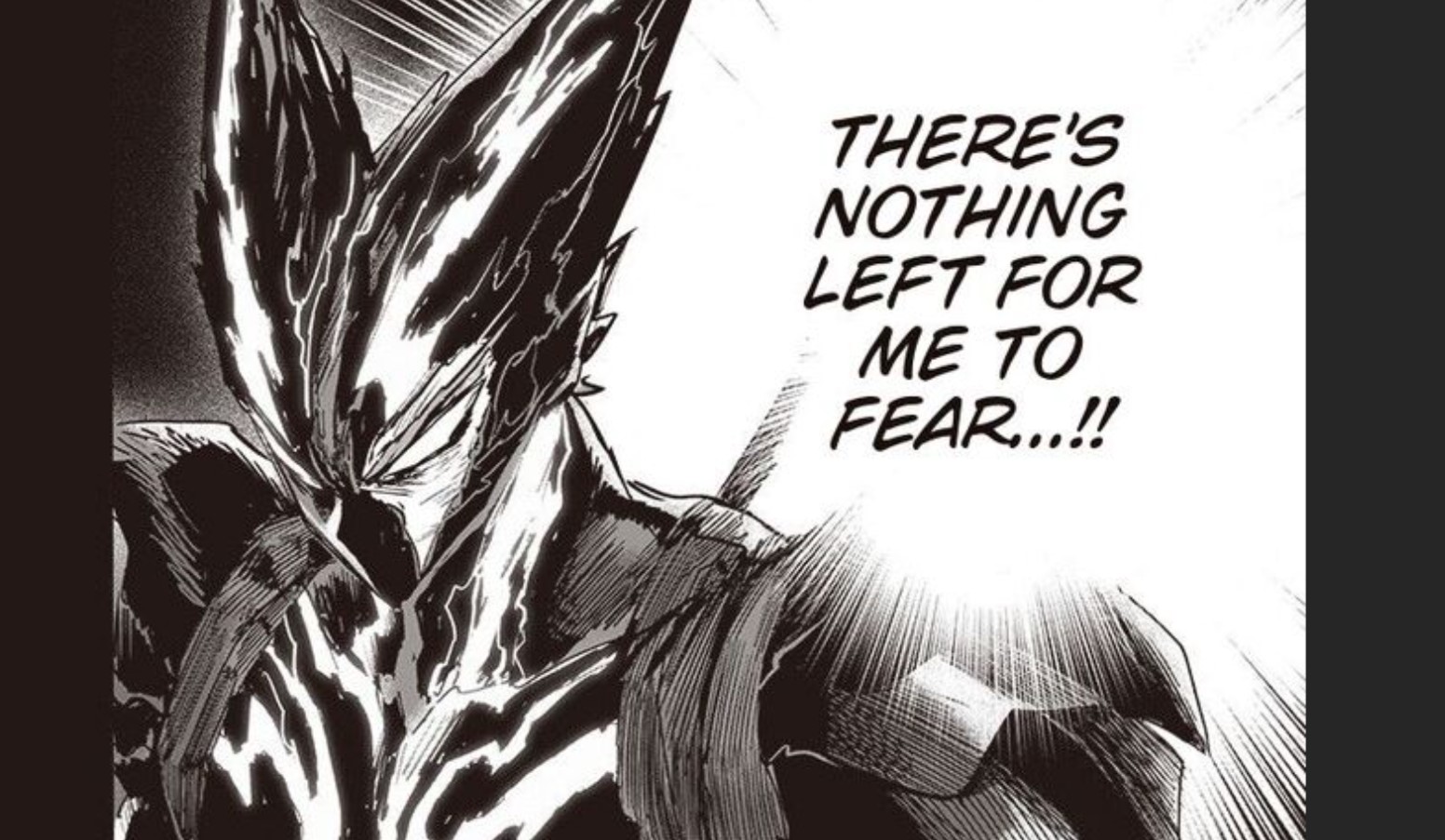 Saitama vs Garou Manga Panel Chapter 162  One punch man manga, One punch  man, One punch man anime