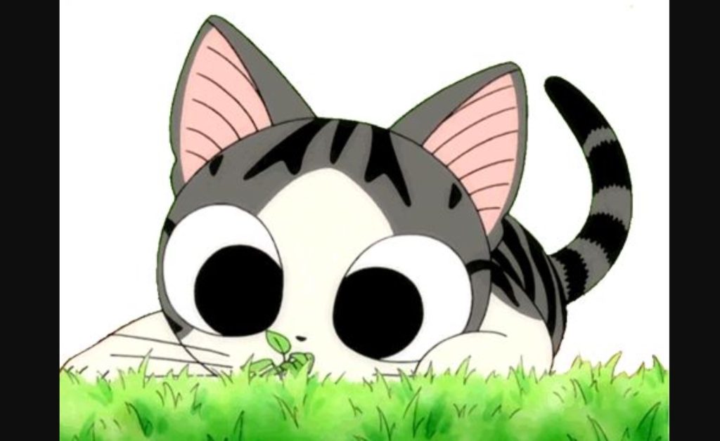 Nights With A Cat Anime