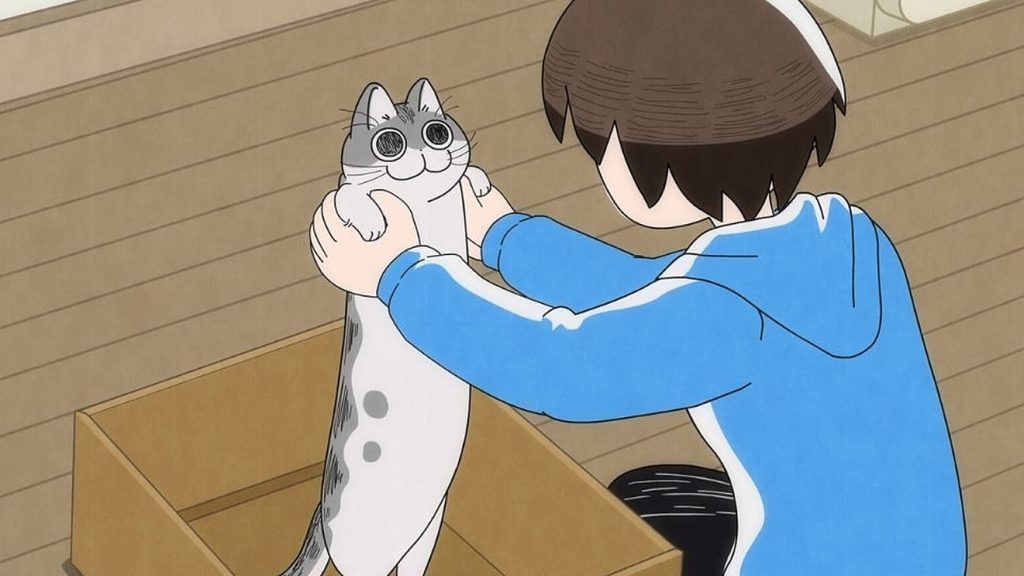 Nights With A Cat Episode 8