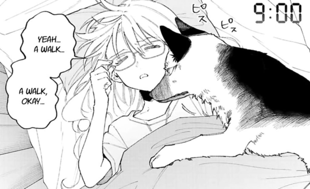Shikimori's Not Just A Cutie Chapter 159