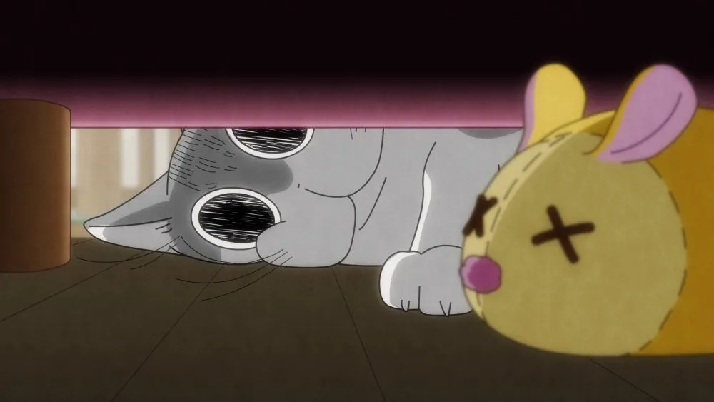 nights with a cat episode 24 anime corner