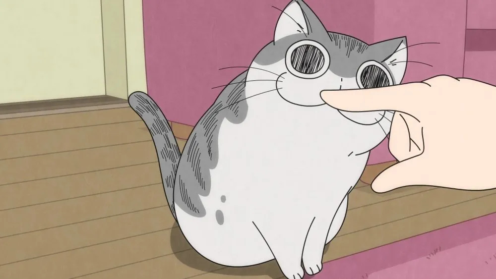 nights with a cat episode 24 preview