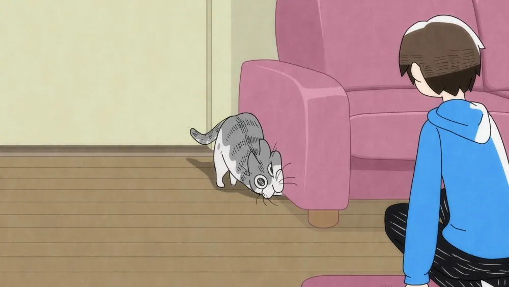 nights with a cat episode 24