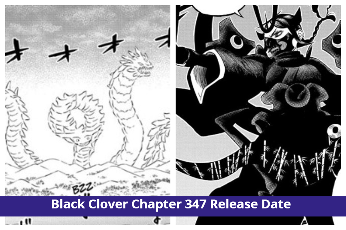 Black Clover Chapter 347: Ichika's Horrifying Past! Release Date & More